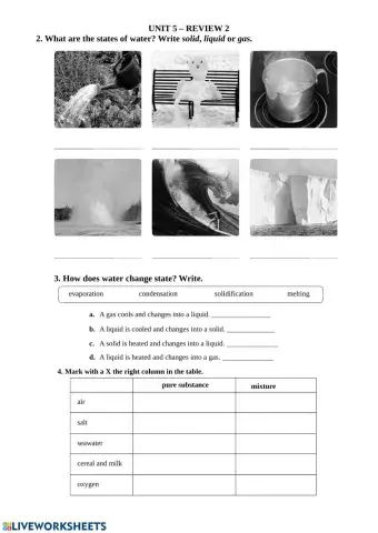 Review States of Water and Pure Substances