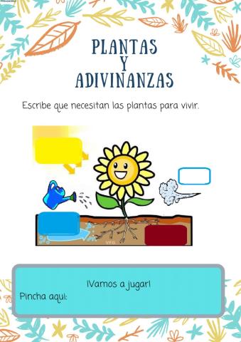 Plantas y adivinanzas