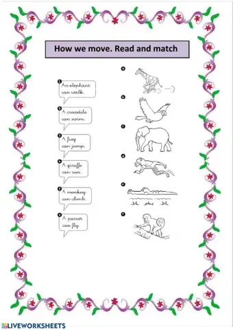 Wild animals and their actions