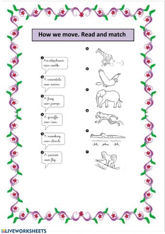 Wild animals and their actions