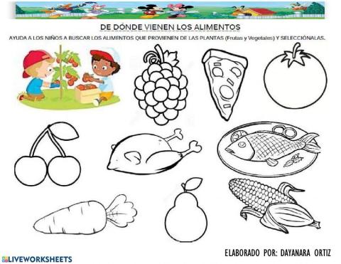 Alimentos derivados de las plantas