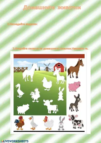 Домашни животни