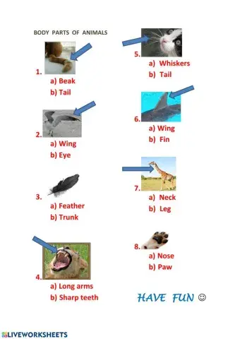 Body parts (animals)