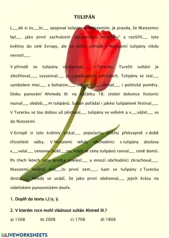 Tulipány