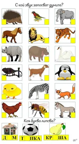 С кой звук започват думите?