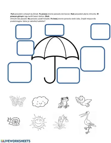 Pozycjonowanie - wiosna
