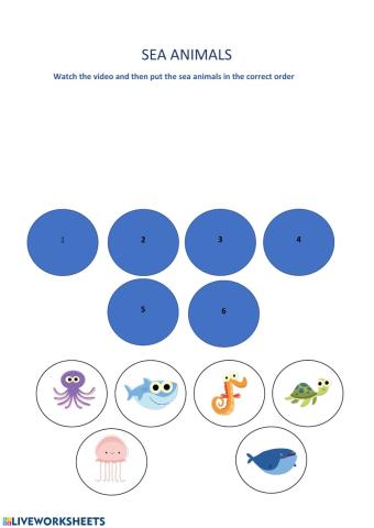 Sea animals