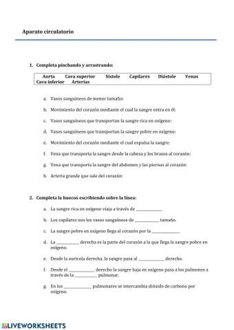 Aparato circulatorio