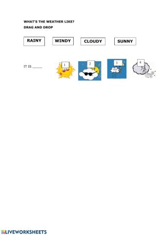 What's the weather like?