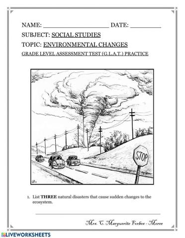 Environmental Changes