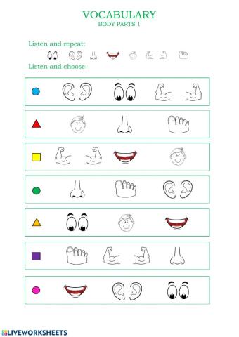 Vocabulary - Body Parts 1