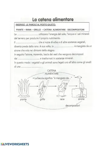 La catena alimentare e la rete alimentare