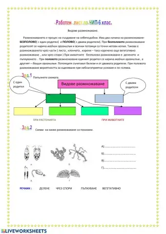 Видове размножаване