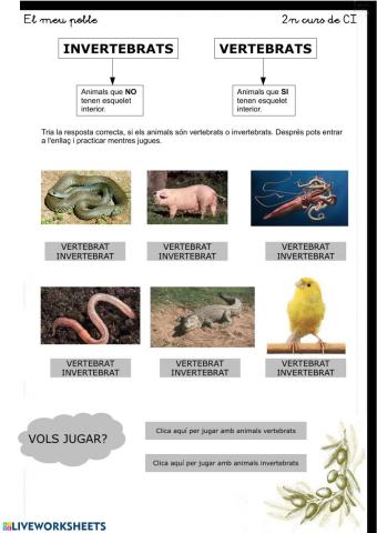 Vertebrats-invertebrats