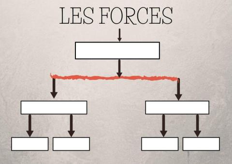 Les forces