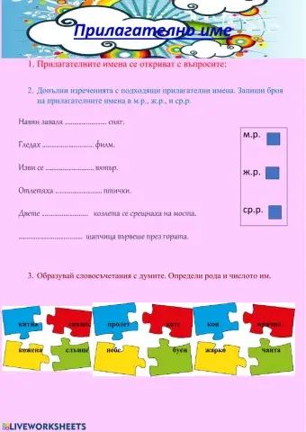 Прилагателно име