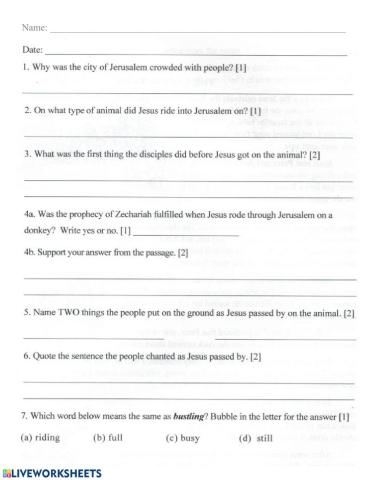 Celebrating Palm Sunday