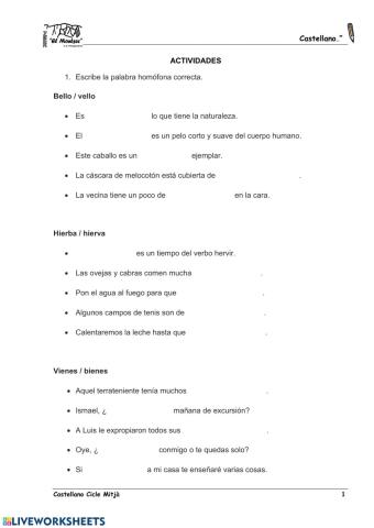 Palabras homófonas