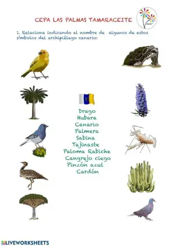 Simbolos de canarias