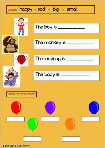 Vocabulary & Colours