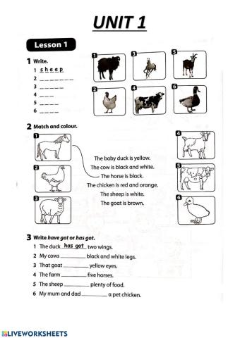 Kids 5 - Unit 1 WEEK 1 REVISION