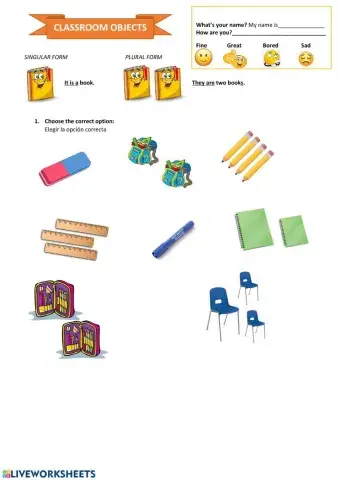 Classroom objects