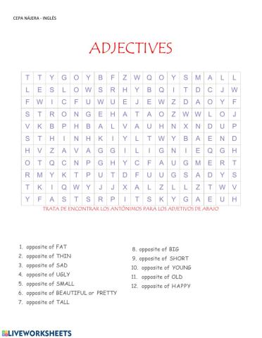 Adjectives