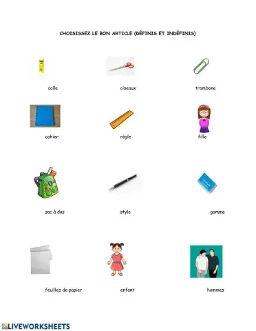 Les articles - définis et indéfinis