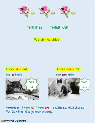 There is-are
