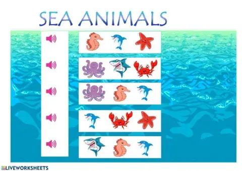 Sea Animals