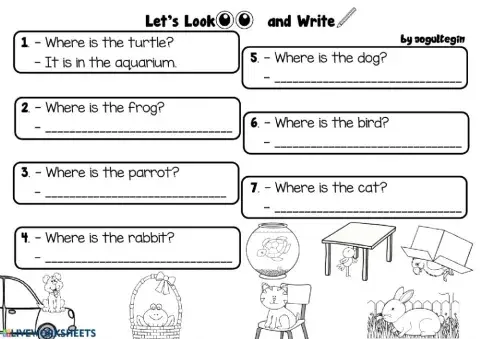 Pets - Let's Look and Write