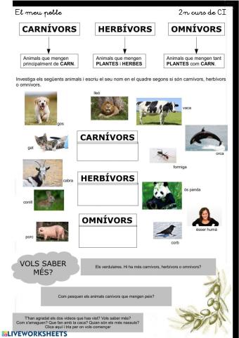 Carnívors, omnívors i herbívors