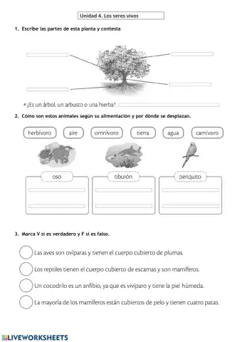 Repaso tema 4 . Los seres vivos