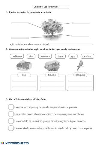 Repaso tema 4 . Los seres vivos
