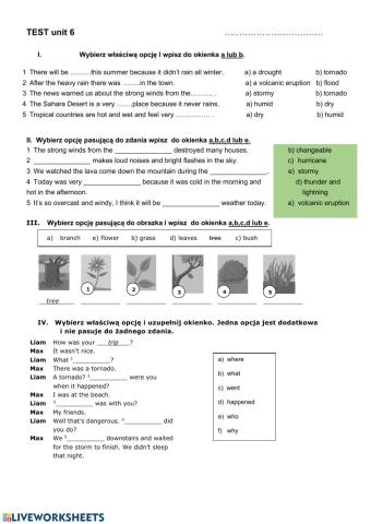 Natural disasters and weather
