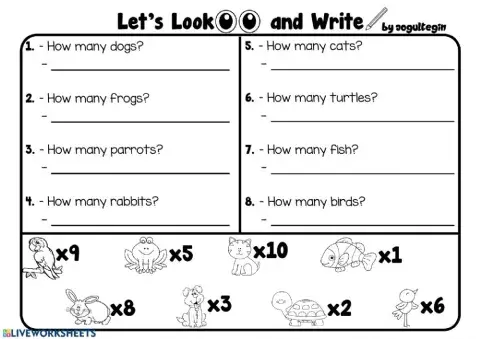 2.8. Pet - Let's Look and Write