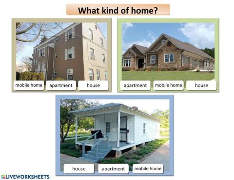What kind of home