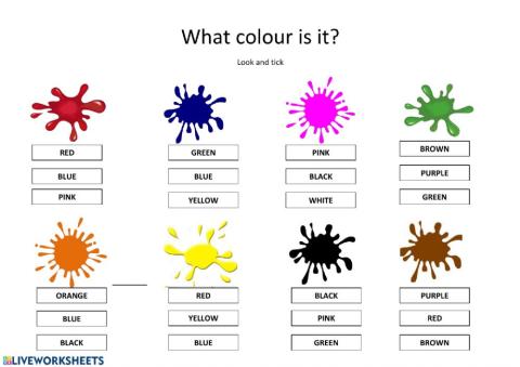 WHAT COLOUR IS IT? LOOK AND TICK