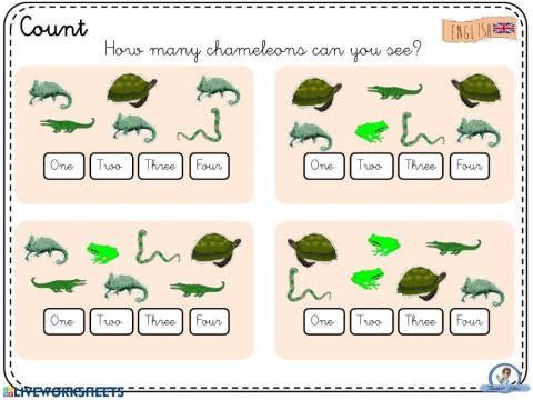 The mixed up chameleon