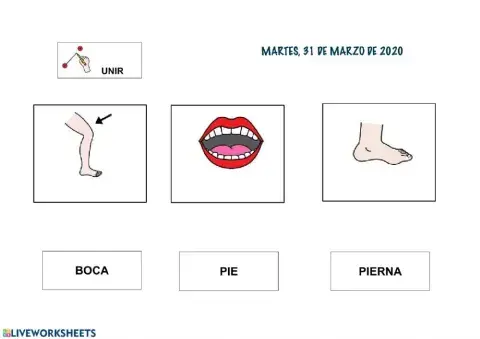 LECTOESCRITURA GLOBAL PARTES DEL CUERPO II