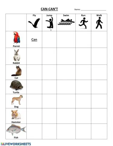 Animals Can or Can't