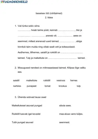 Iseseisev töö 2. kl