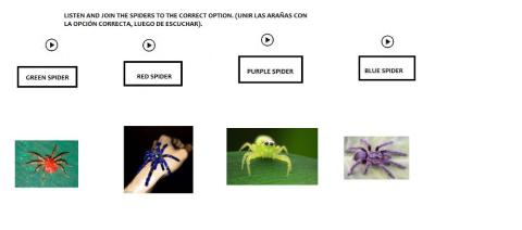 Colour spiders