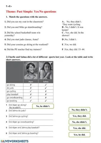 Past sinple: Yes-No questions