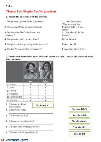 Past sinple: Yes-No questions