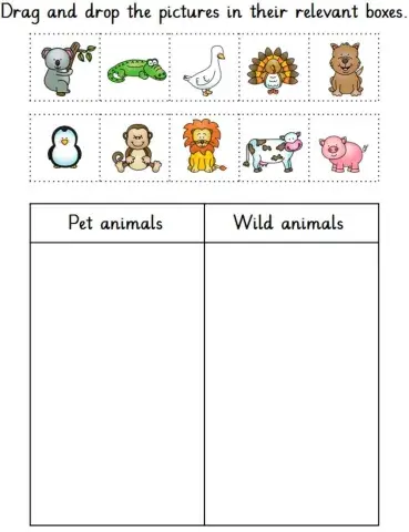 Pet and wild animals