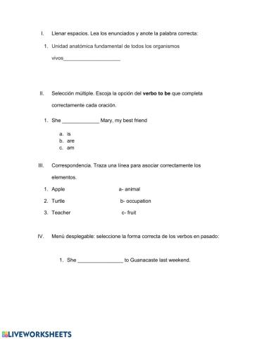 Ítemes para crear fichas