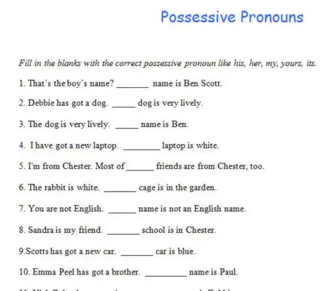 Possesive adjectives