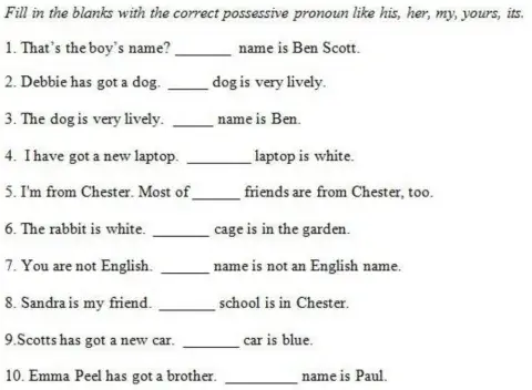 Possesive adjectives