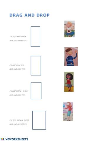 Physical description